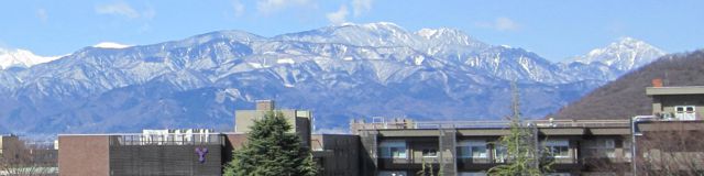 �R����w���猩����A���v�X